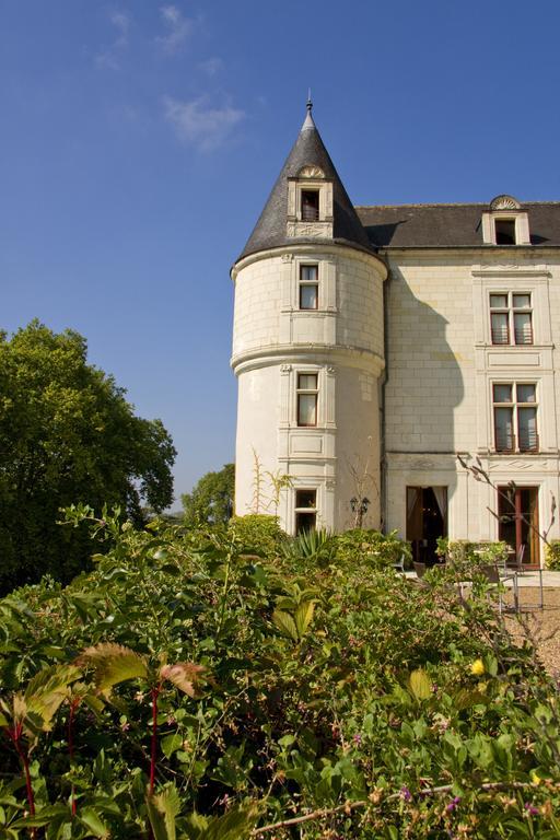 Chateau De Chissay, Hotel De Charme Pres De Chenonceau Et Le Zoo De Beauval Exterior foto